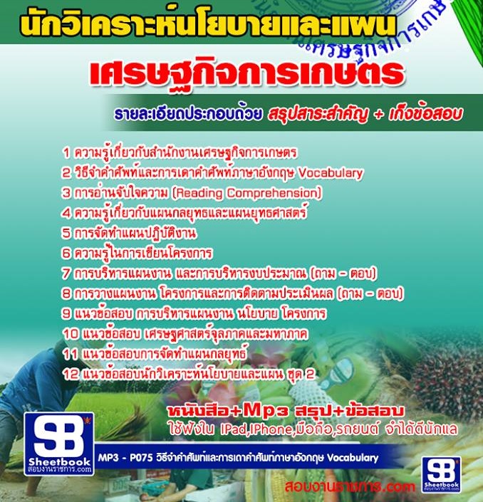 1นักวิเคราะห์นโยบายแล